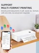 Портативный мобильный термопринтер А4-mini PeriPage, USB+Bluetooth+WiFi с аккумуляторной батареей 2600 mAh - изображение 3