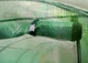 Пленка для теплицы 3×6 м 18 м² усиленная UV4 чехол для садового парника с окнами и молнией - изображение 3