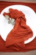 Марлевая салфетка для декора стола VTILENE, Terracotta, 45х45 см - изображение 5