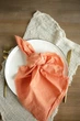 Салфетка из хлопка для кафе VTILENE , Light terracotta, 35х35 см - изображение 1