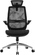 Кресло офисное SIHOO M59AS Mesh Black (M59AS-M302) - изображение 1