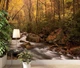 Фотообои флизелиновые Print-walls горная река 0265 100×100 см (Ш×В) - изображение 1