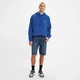 Шорти Levi's 541 Athletic Taper 11" Men's Shorts Color: On the Roof (237780034) W29 - зображення 1