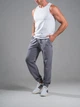 Джоггеры мужские спортивные штаны трикотажные Teamv Jogger Petlia Серые М - изображение 4