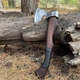 Сокира Gorillas BBQ Тамплієр 42 см Коричневий (TR29) - изображение 6