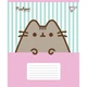 Зошит учнівський шкільний Yes Pusheen Candy А5 12 аркушів коса лінія - изображение 1