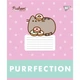 Зошит учнівський шкільний Yes Pusheen Candy А5 12 аркушів коса лінія - изображение 4