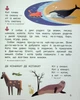 Українська мова Буквар 1 клас. Частина 3. Посібник у 6 частинах. Іщенко. Літера ЛТД - зображення 6
