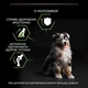 Сухой полнорационный корм Purina Pro Plan Medium Puppy Healthy Start для щенков средних пород с курицей 3 кг - изображение 7