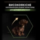 Сухой полнорационный корм Purina Pro Plan Small & Mini Puppy Healthy Start для щенков мелких пород с курицей 700 г - изображение 4