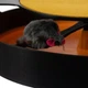 Игрушка для кошек интерактивная кольцо с мышкой механическое вращение 360° с когтеточкой и движущейся мышкой - изображение 5