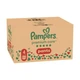 Дитячі підгузки-трусики Pampers Premium Care Pants Maxi розмір 4 (9-15 кг) 114 шт - зображення 2