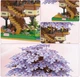 Конструктор Цветущие вишневое дерево серия Бонсай домик на дереве constructor Cherry tree in bloom 2108 - изображение 6