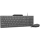 Комплект проводной клавиатура и мышь Lenovo 310 Wired Combo UA 104 клавиши 2000 dpi USB-A Gray (GX31R09776) - изображение 2