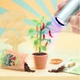 Ігровий набір Miniverse серії Nature 3" - Створи світ природи" (546962) - зображення 5
