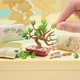 Ігровий набір Miniverse серії Nature 3" - Створи світ природи" (546962) - зображення 7