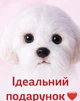 Плюшевий цуценя мальтипу реалістична іграшка собака як жива Білий 28 см - зображення 7