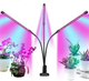 Фітолампа світлодіодна LED Plant Grow Light на 3 лампи для росту рослин на прищіпці фітосвітильник для кімнатних квітів, розсади - зображення 1