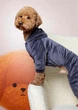 Костюм для собак велюровый Dogs Bomba Кураж графит D-241 7р - изображение 2