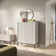 Комод высокий Perfect Home Новая/Nova 2-дверный с черными ножками K104 Кашемир (PFH-091236) - изображение 1