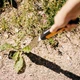 Совок для сорняков Fiskars Xact™ (1027046) - изображение 4