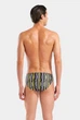 Плавки для плавання чоловічі Arena STRIPES SWIM BRIEFS 010760-550 95 Чорний - зображення 5