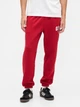 Спортивные штаны утепленные мужские GAP 848085159 M Красные (1159856833) - изображение 1
