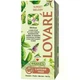 Чай Lovare Tisanes Sunset Melody из листьев мелиссы 31.2 г (24 шт. х 1.3 г - зображення 2