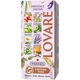 Чай Lovare Tisanes Provence Dreams бленд травяного и плодового чая с цветами 36 г (24 шт. х 1.5 г) - изображение 2