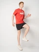 Футболка длинная мужская Puma Essentials Foundation 68255011 S For All Time Red (4067983316869) - изображение 3