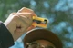 Фотоаппарат Kodak Charmera Keychain Digital Camera Blind Box (миниатюрная цифровая камера-брелок) - зображення 14