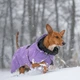 Світловідбиваюча зимова куртка для собак на FIR-підкладці PAIKKA Visibility Winter Jacket Lilac 35 - зображення 7