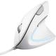 Мишка Trust Verto Ergonomic USB White - зображення 1