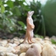 Сурикат Safari Ltd 224629 - изображение 3