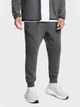 Брюки чоловічі Under Armour Ua Unstoppable Flc Jgr Eu L Сірий 1389353-625 - зображення 2
