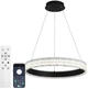Люстра светодиодная подвесная LUMINARIA ERIKA 65W R485 BLACK / LED светильник (с пультом) - изображение 1