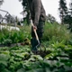 Культиватор Fiskars Solid с деревянной ручкой (1011614) - изображение 3