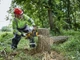 Пилка цепная аккумуляторная DeWALT DCMCS574X1 - изображение 6