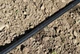 Капельная лента Presto-PS эмиттерная 3D Tube 0,18 1,38л/ч 15см 1000м (3D-7-15-1000) - изображение 6