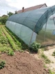 Сітка затіняюча Добра сіточка 60% 12м × 5м захист рослин від сонця УФ-стійка темно-зелений - зображення 12