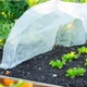 Агроволокно белое Greentex R50 3,2х15 м защита от заморозков и солнца - изображение 6