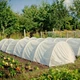 Теплица-мини Agro 8 м 50 г/м2 для ранней рассады и защиты от заморозков - изображение 11