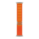 Ремінець Alpine Loop для Apple Watch 42/44/45/49 mm Orange - изображение 1