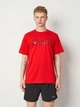 Футболка хлопковая длинная мужская Puma Essentials Graphics 69202611 M For All Time Red (4069161745171) - изображение 1