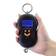 Кантер цифровой 603L Черный - изображение 2