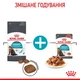 Royal Canin Urinary Care влажный лечебный корм для кошек для здоровья мочевыводящих путей, 85 гр х 12 шт - изображение 7