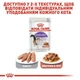 Royal Canin Sterilised in Gravy Влажный корм Роял Канин пауч для кастрированных котов и кошек 12 шт х 85 г - изображение 6