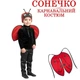 Карнавальный костюм Божья коровка для мальчика/ 98-104 см - изображение 1