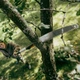 Насадка-пилка пряма Fiskars OneClick (1080691) - зображення 3
