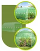 Садовая теплица Expand TFO25-3X6X2-2-Z 18 м² 6×3×2 м два входа прочный каркас 25 мм идеальна для овощей и фруктов - изображение 4
